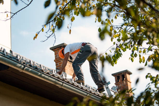 Best Roofing Contractor Near Me  in Riverview, MI