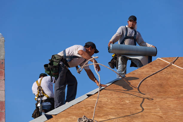 Best Residential Roof Replacement  in Riverview, MI
