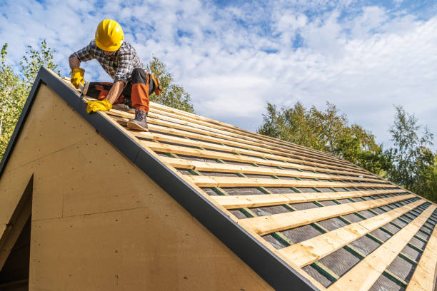 Best Storm Damage Roof Repair  in Riverview, MI