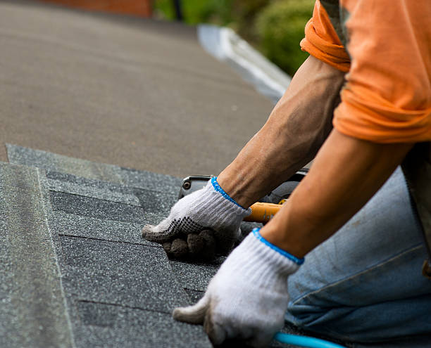 Best Roof Leak Repair  in Riverview, MI