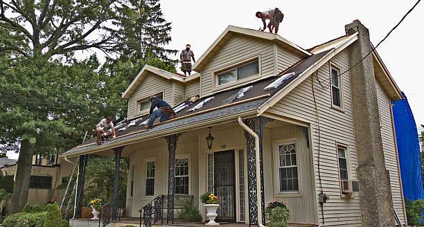 Best Roofing Contractors for Homes  in Riverview, MI